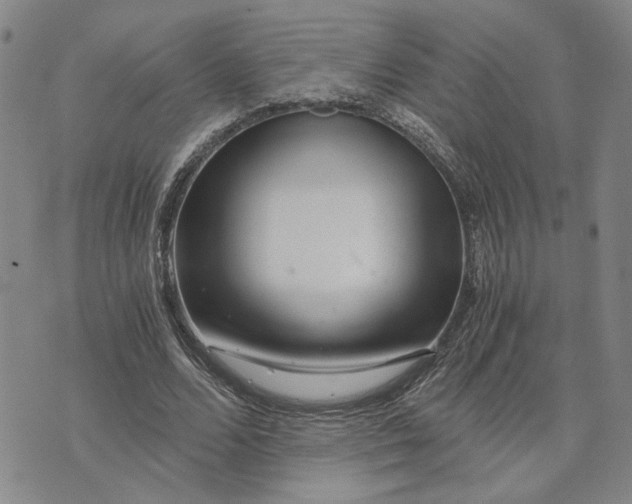 X0000076270680200610191740