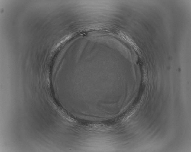 X0000076270681200610191740