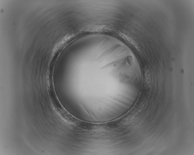 X0000076270682200610191740