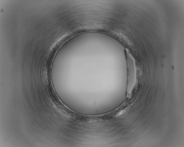 X0000076270684200610191740