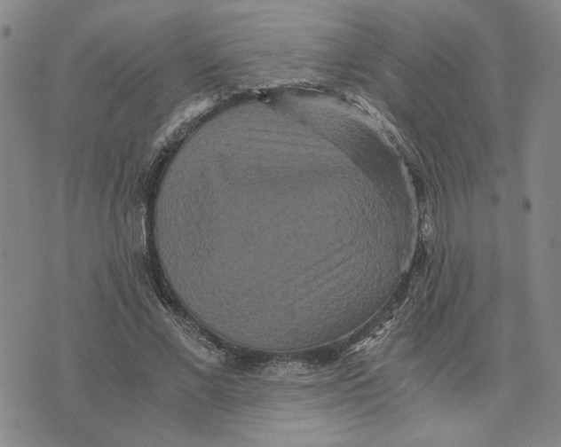 X0000076270685200610191740