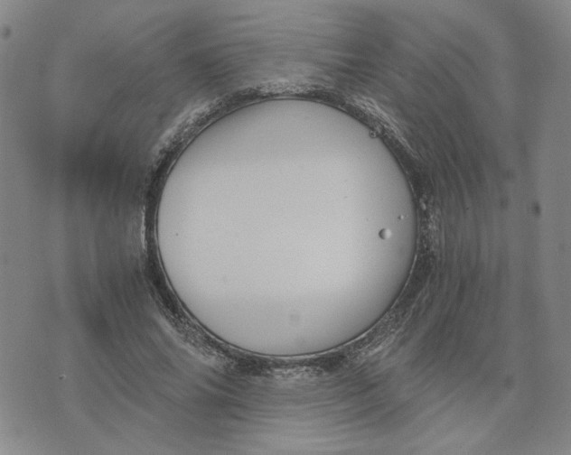 X0000076270686200610191740