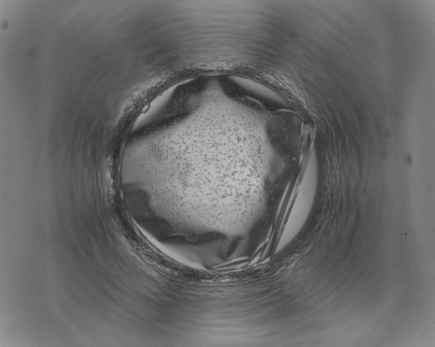 X0000076270688200610191740