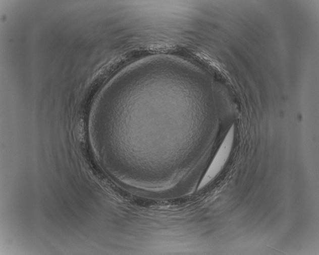 X0000076270689200610191740