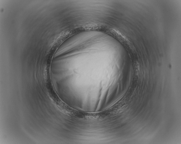 X0000076270690200610191740