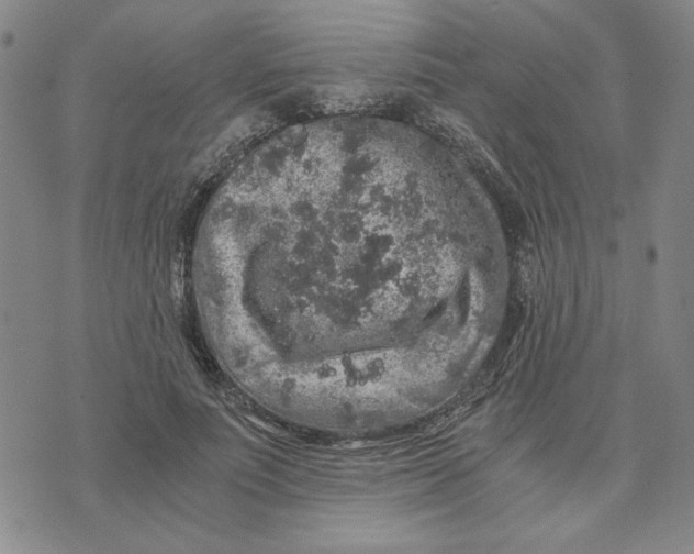 X0000076270691200610191740