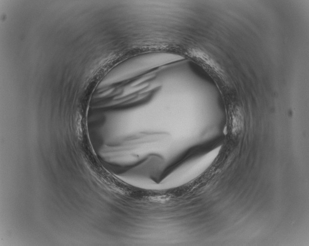 X0000076270692200610191740