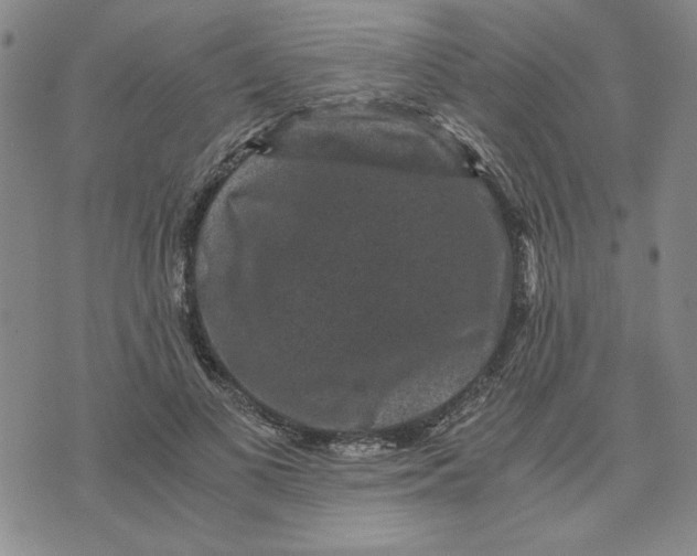 X0000076270693200610191740