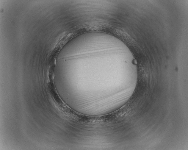 X0000076270694200610191740