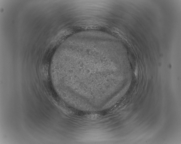 X0000076270695200610191740