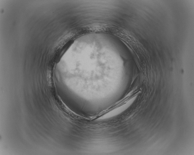 X0000076270696200610191740