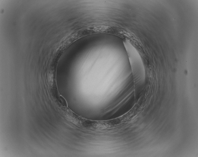 X0000076270697200610191740