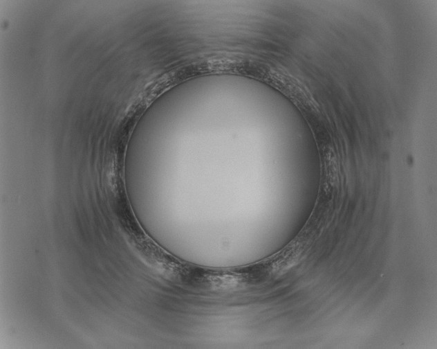 X0000076270698200610191740