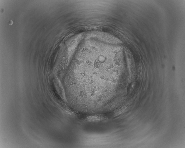 X0000076270699200610191740