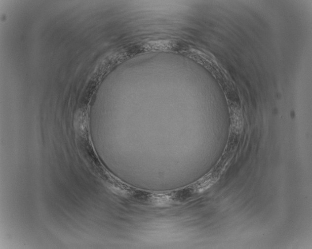 X0000076270701200610191740