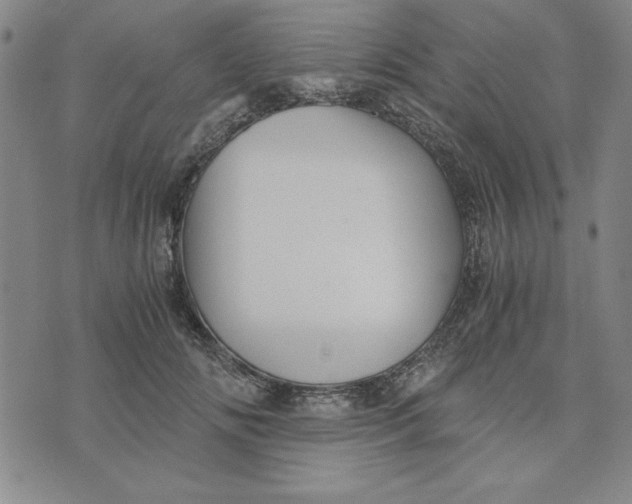 X0000076270702200610191740