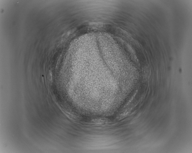 X0000076270703200610191740