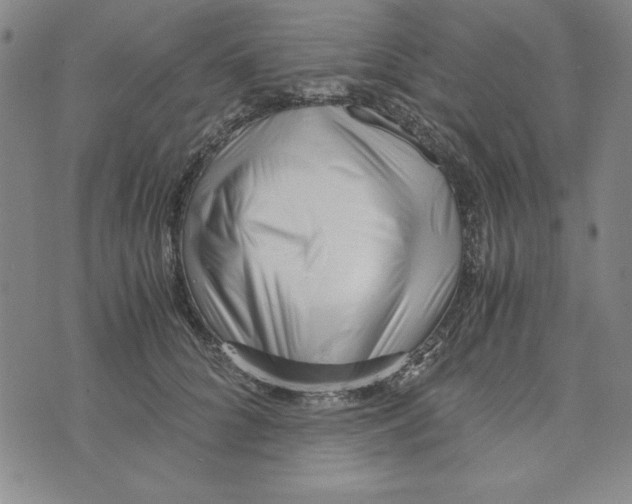 X0000076270704200610191740