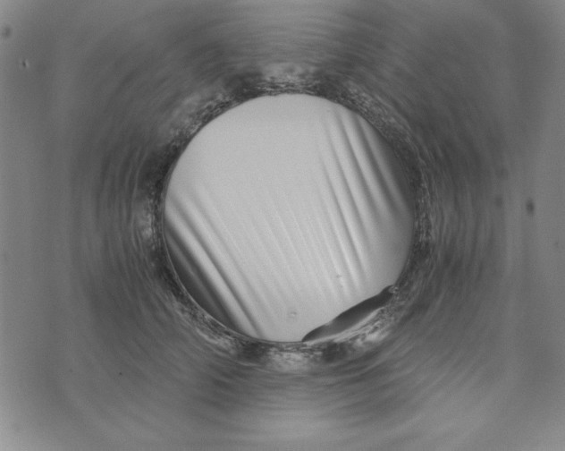 X0000076270706200610191739