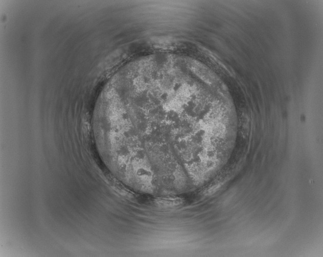 X0000076270707200610191739