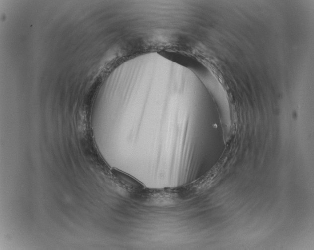 X0000076270708200610191739