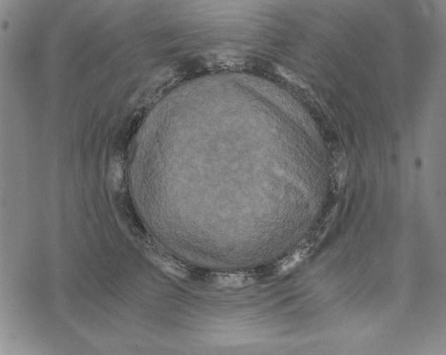 X0000076270709200610191739