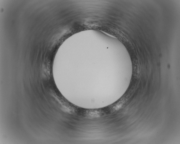 X0000076270710200610191739