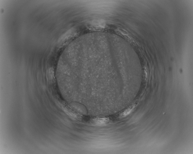 X0000076270711200610191739