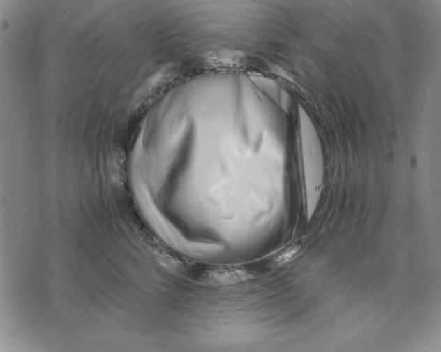 X0000076270712200610191739