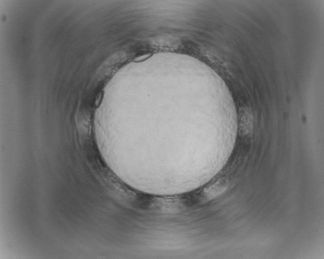 X0000076270713200610191739