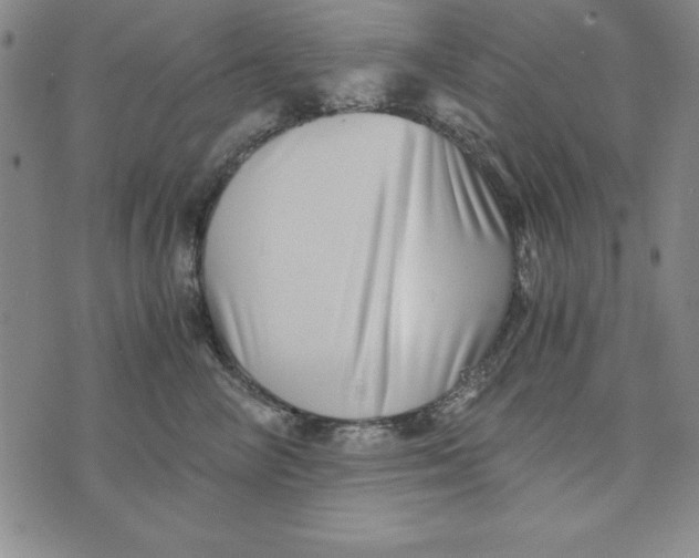 X0000076270714200610191739