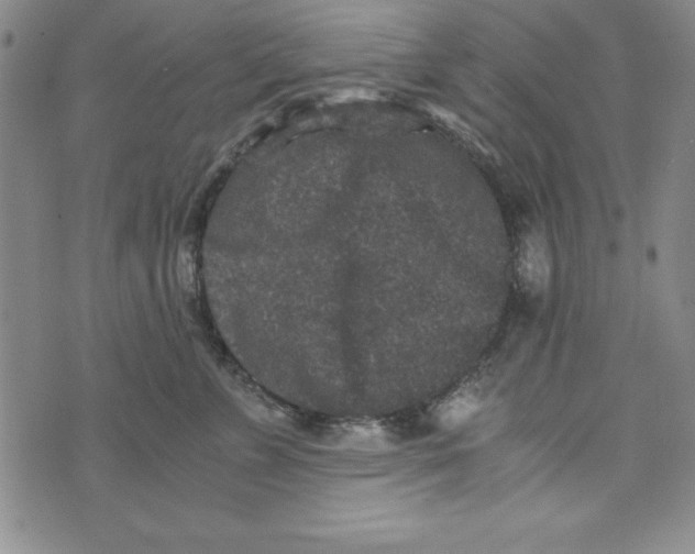 X0000076270715200610191739