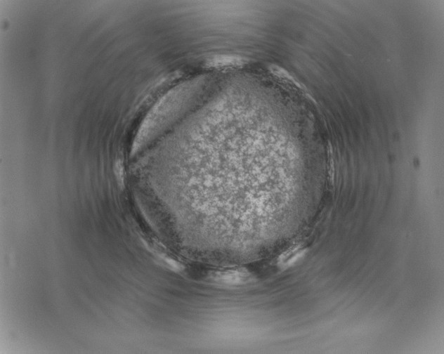 X0000076270716200610191739