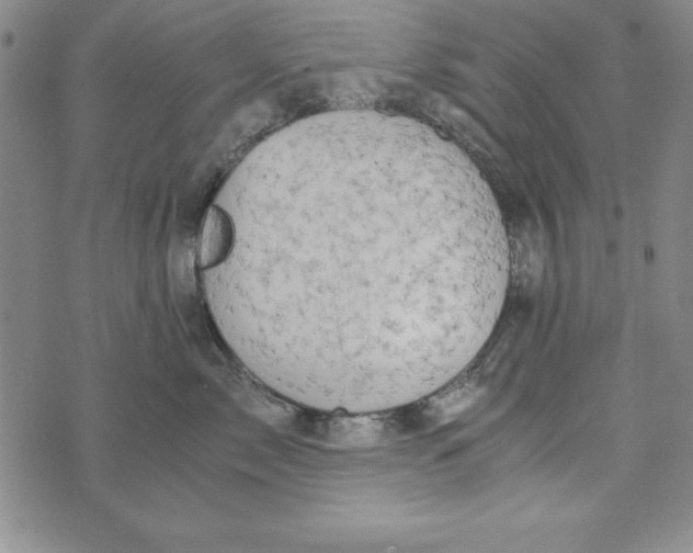 X0000076270717200610191739