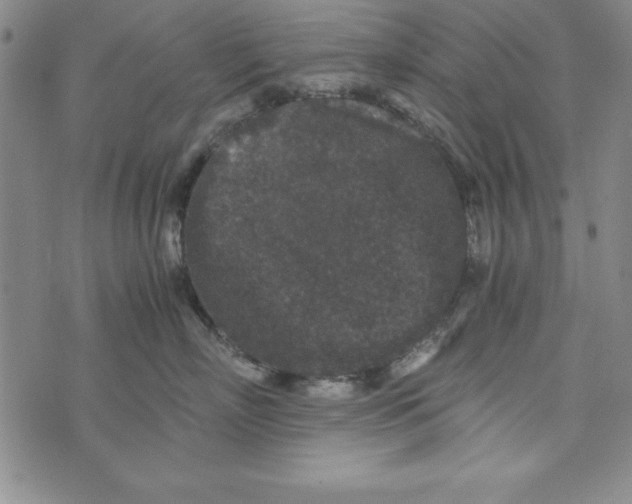 X0000076270718200610191739