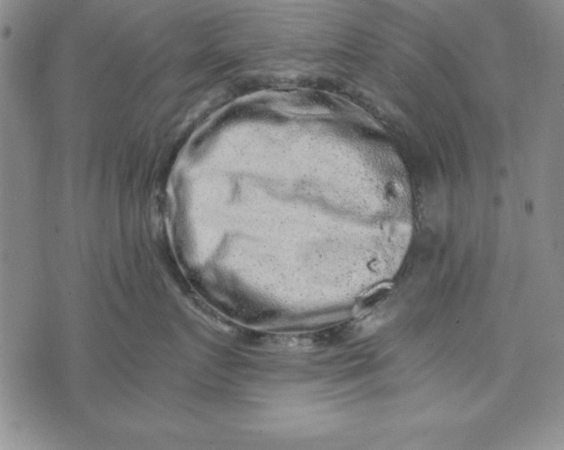 X0000076270719200610191739