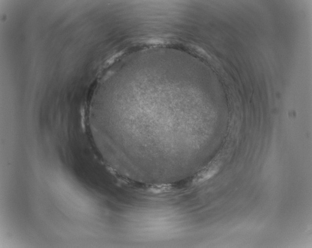 X0000076270720200610191739