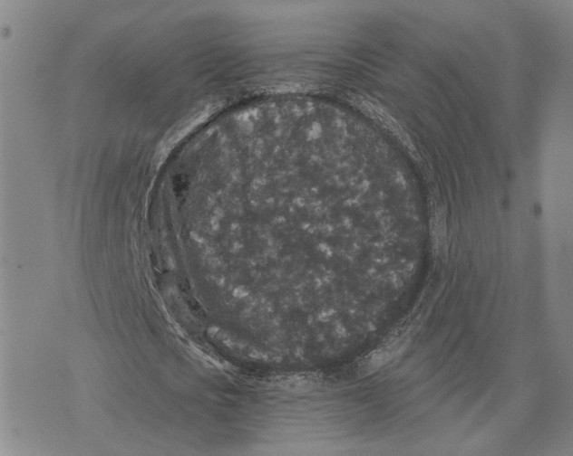 X0000076270721200610191738