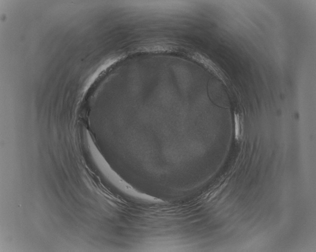 X0000076270723200610191739