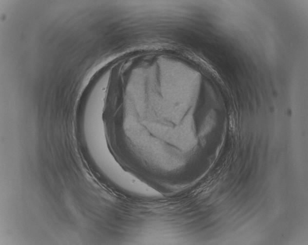 X0000076270724200610191739