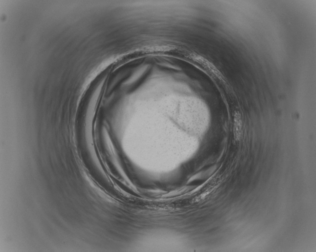 X0000076270726200610191739