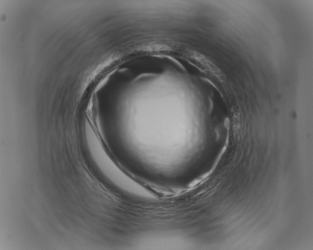 X0000076270727200610191739