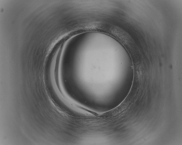 X0000076270728200610191739