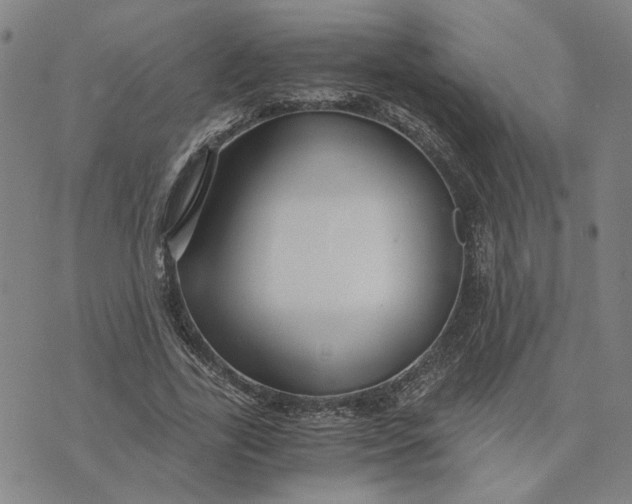 X0000076270731200610191739