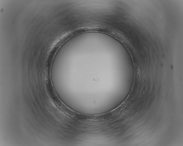 X0000076270732200610191739