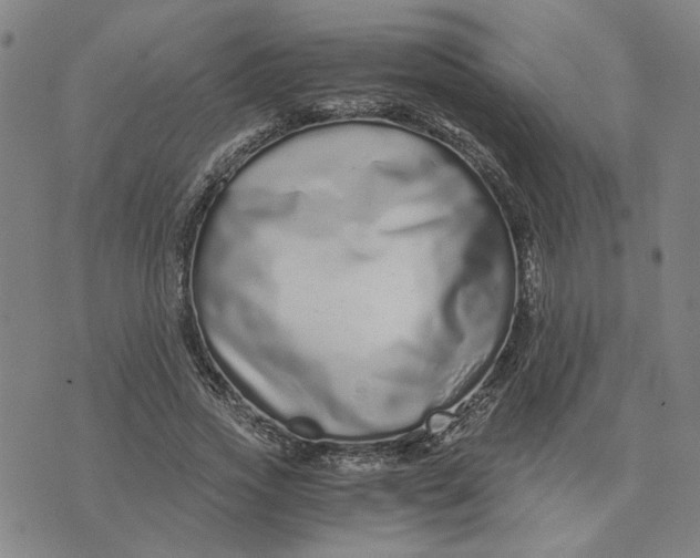 X0000076270733200610191739