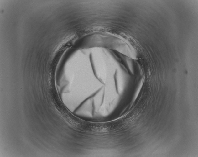 X0000076270735200610191739