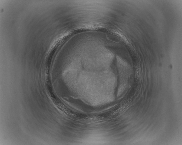 X0000076270736200610191739