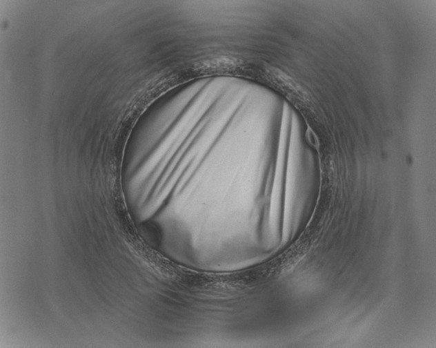 X0000076270737200610191739