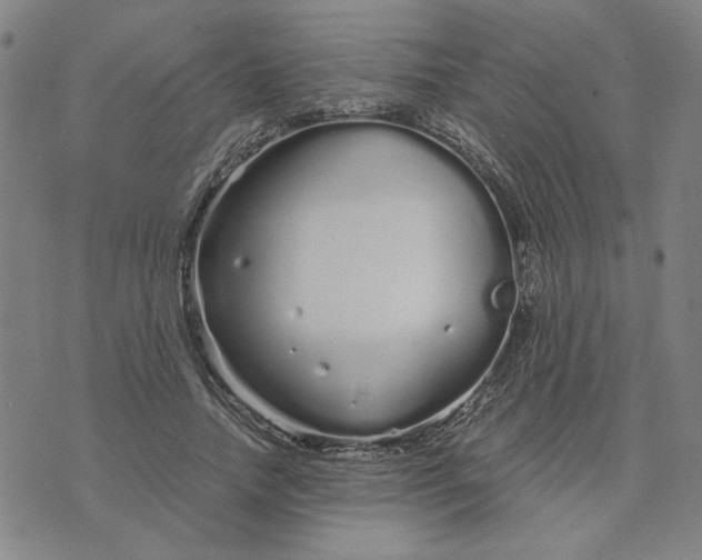 X0000076270738200610191739